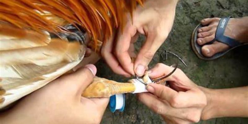 Tốc độ, kỹ năng và sức bền tạo nên những trận đấu nghẹt thở, chỉ trong chớp mắt