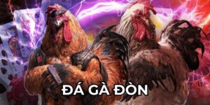 Đá gà đòn