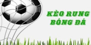 Giải thích ý nghĩa kèo rung là gì cho hội viên